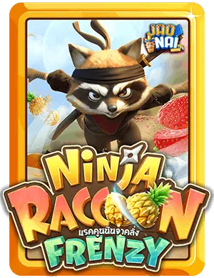 Ninja Raccoon Frenzy